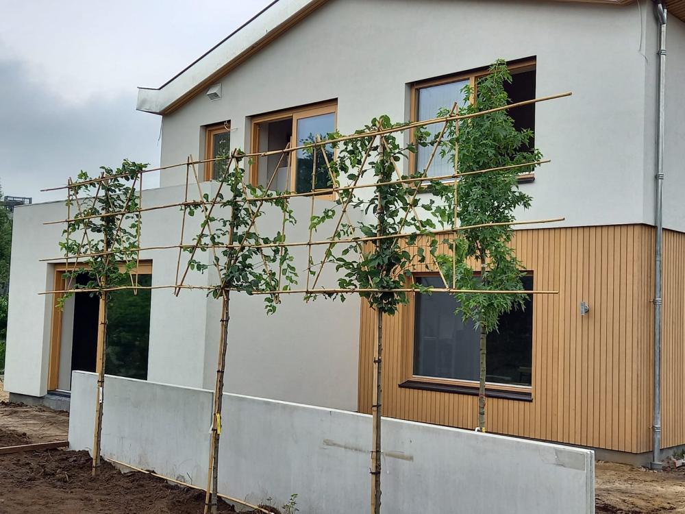 Renovatie Jaren 60 Woning 8.jpg